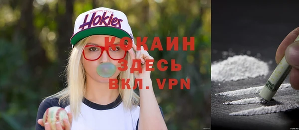 сатива Арсеньев
