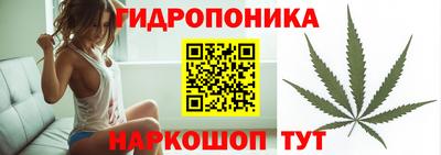 ГАЛЛЮЦИНОГЕННЫЕ ГРИБЫ Волжск