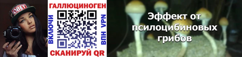 Псилоцибиновые грибы прущие грибы  Ипатово 