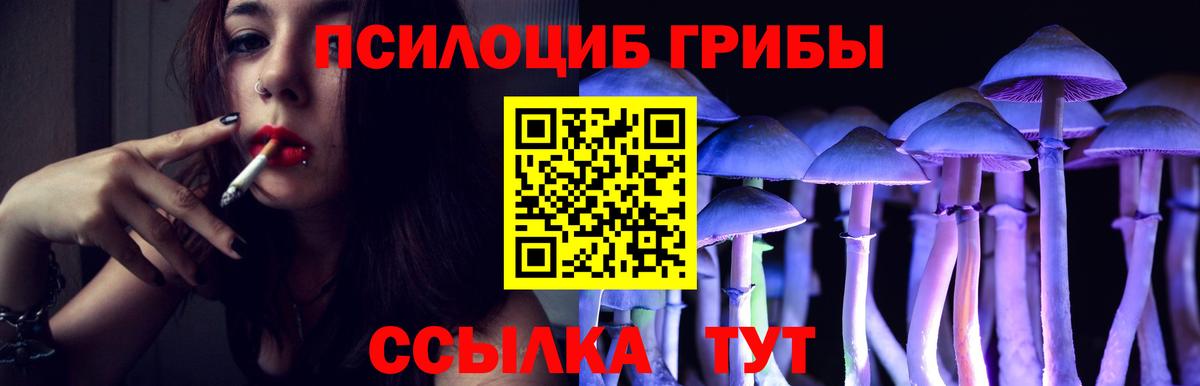 Псилоцибиновые грибы Magic Shrooms  Ипатово  Галлюциногенные грибы Psilocybe 